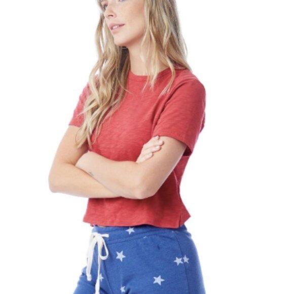 Alternative Hayes Crop Slub Organic Cotton T-Shirt - Picture 3 of 9